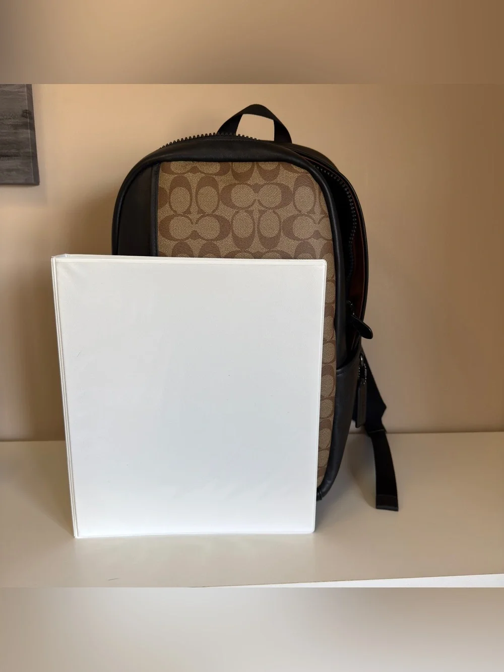 Coach Men’s Brown Signature Canvas Backpack CM024